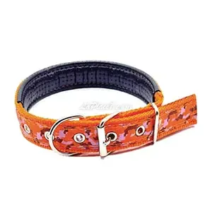 Collier pour chien en tissu et sky, Petit chien, BisBis, 55cm