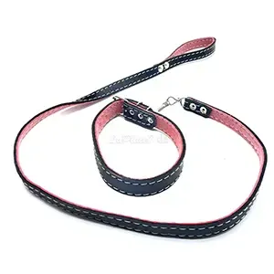 Collier et laisse pour chien en cuir, Chien moyen, Laisse 100cm