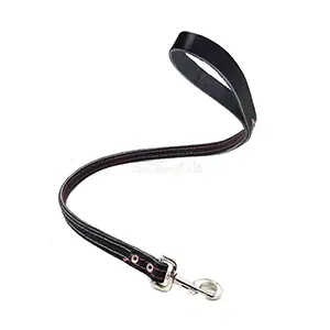 Laisse pour chien en cuir, 1m