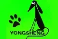 Yongsheng