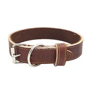 Collier pour chien en cuir, 56cm