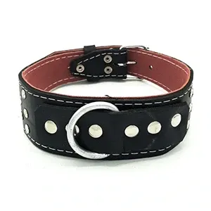 Collier pour chien à pique en cuir, Grand chien, 68cm