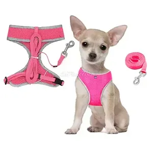 Harnais et laisse pour chien en tissu, Petit chien, Younice, Laisse 130cm