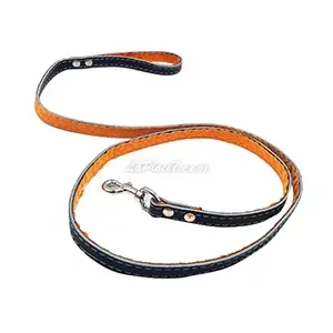 Laisse  pour chien en cuir, 178cm