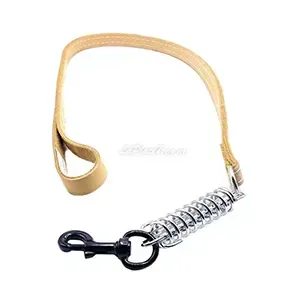 Laisse pour chien en cuir avec ressort, 1,1m