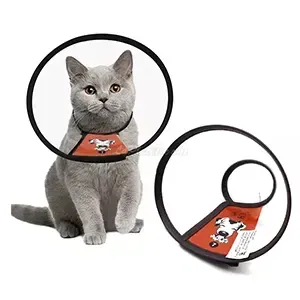 Collerette en plastique pour chaton, PM, 7