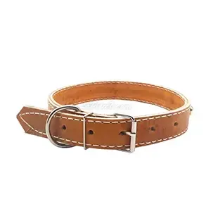 Collier pour chien en cuir, 67 cm